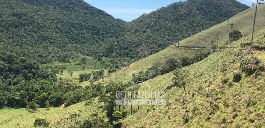 Fazenda à Venda 100 Alqueires em Maria Mendonça | Trajano de Moraes/RJ Fazenda à Venda 100 Alqueires em Maria Mendonça | Trajano de Moraes/RJ