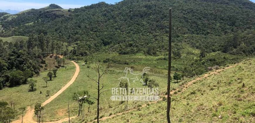Fazenda à Venda 100 Alqueires em Maria Mendonça | Trajano de Moraes/RJ Fazenda à Venda 100 Alqueires em Maria Mendonça | Trajano de Moraes/RJ