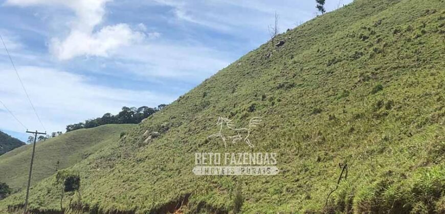 Fazenda à Venda 100 Alqueires em Maria Mendonça | Trajano de Moraes/RJ Fazenda à Venda 100 Alqueires em Maria Mendonça | Trajano de Moraes/RJ