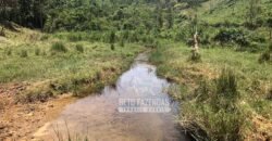 Fazenda à Venda 100 Alqueires em Maria Mendonça | Trajano de Moraes/RJ Fazenda à Venda 100 Alqueires em Maria Mendonça | Trajano de Moraes/RJ