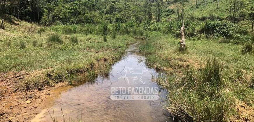 Fazenda à Venda 100 Alqueires em Maria Mendonça | Trajano de Moraes/RJ Fazenda à Venda 100 Alqueires em Maria Mendonça | Trajano de Moraes/RJ