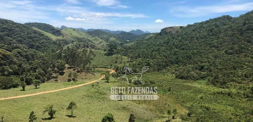 Fazenda à Venda 100 Alqueires em Maria Mendonça | Trajano de Moraes/RJ Fazenda à Venda 100 Alqueires em Maria Mendonça | Trajano de Moraes/RJ