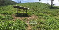 Fazenda à Venda 100 Alqueires em Maria Mendonça | Trajano de Moraes/RJ Fazenda à Venda 100 Alqueires em Maria Mendonça | Trajano de Moraes/RJ