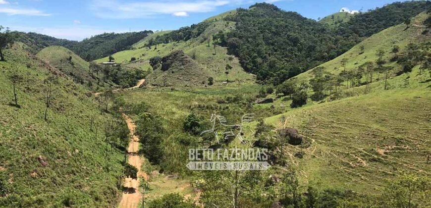 Fazenda à Venda 100 Alqueires em Maria Mendonça | Trajano de Moraes/RJ Fazenda à Venda 100 Alqueires em Maria Mendonça | Trajano de Moraes/RJ