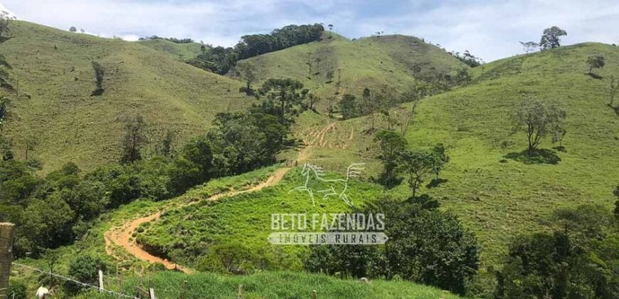 Fazenda à Venda 100 Alqueires em Maria Mendonça | Trajano de Moraes/RJ Fazenda à Venda 100 Alqueires em Maria Mendonça | Trajano de Moraes/RJ