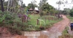 Fazenda à Venda 237 hectares Completa | Senador Modestino/MG