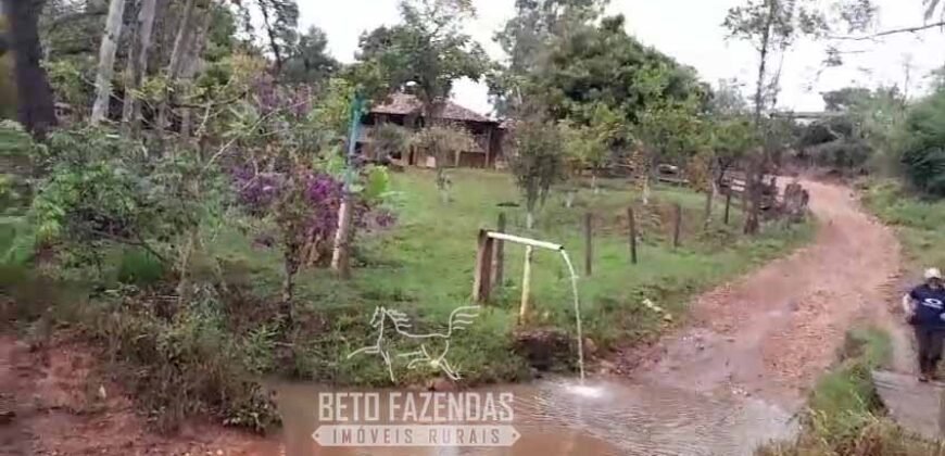 Fazenda à Venda 237 hectares Completa | Senador Modestino/MG