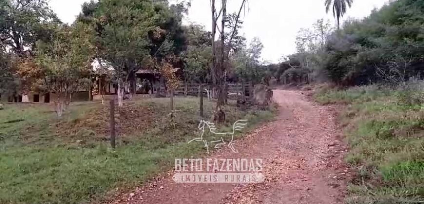 Fazenda à Venda 237 hectares Completa | Senador Modestino/MG