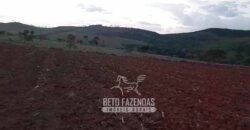 Fazenda à Venda 237 hectares Completa | Senador Modestino/MG