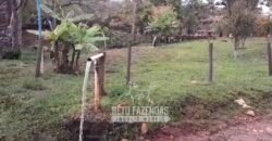 Fazenda à Venda 237 hectares Completa | Senador Modestino/MG