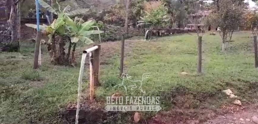 Fazenda à Venda 237 hectares Completa | Senador Modestino/MG