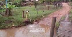 Fazenda à Venda 237 hectares Completa | Senador Modestino/MG