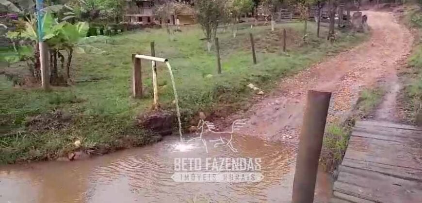 Fazenda à Venda 237 hectares Completa | Senador Modestino/MG