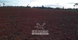 Fazenda à Venda 237 hectares Completa | Senador Modestino/MG