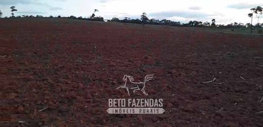 Fazenda à Venda 237 hectares Completa | Senador Modestino/MG