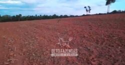 Fazenda à Venda 237 hectares Completa | Senador Modestino/MG