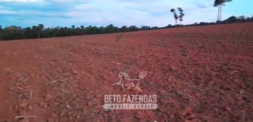 Fazenda à Venda 237 hectares Completa | Senador Modestino/MG