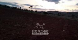 Fazenda à Venda 237 hectares Completa | Senador Modestino/MG