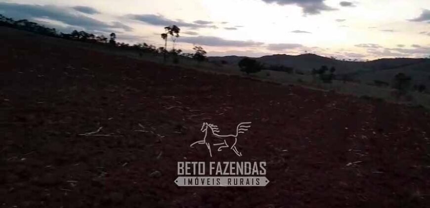 Fazenda à Venda 237 hectares Completa | Senador Modestino/MG