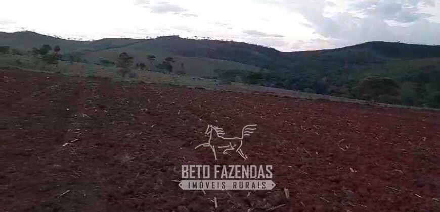 Fazenda à Venda 237 hectares Completa | Senador Modestino/MG