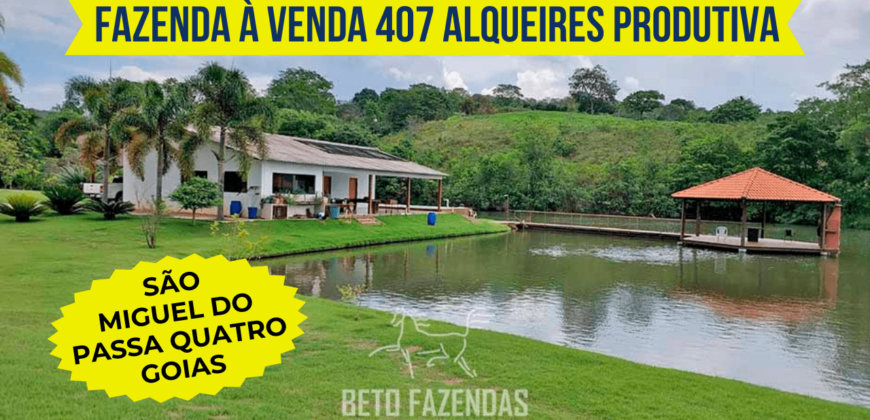 Fazenda à venda 407 alqueires Produtiva | São Miguel do Passa Quatro/ GO