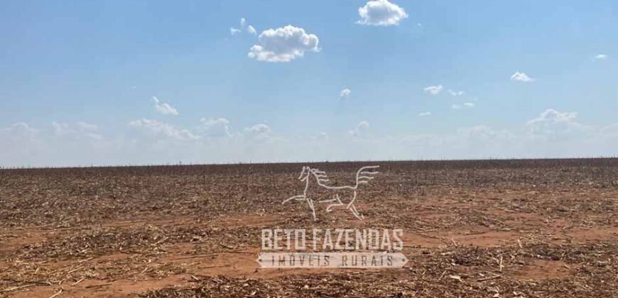Fazenda Produtiva à Venda 12.000 has – Potencial Agrícola | Nova Ubiratã/MT