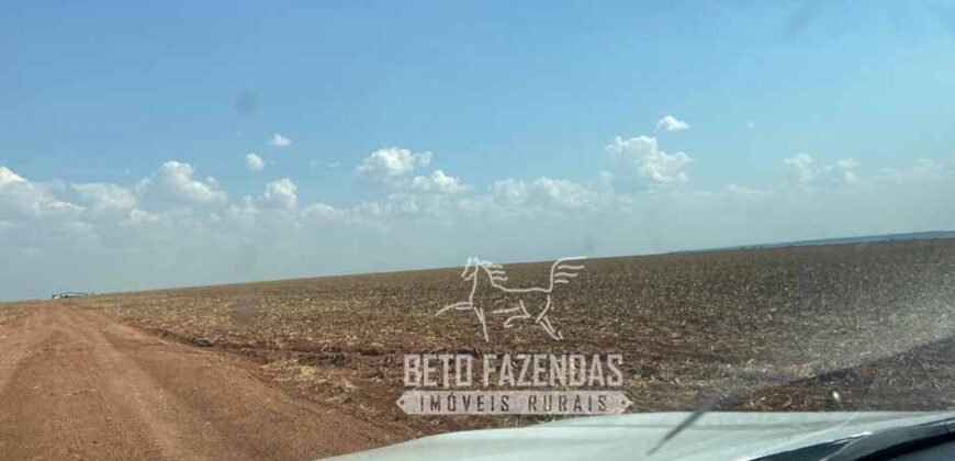 Fazenda Produtiva à Venda 12.000 has – Potencial Agrícola | Nova Ubiratã/MT