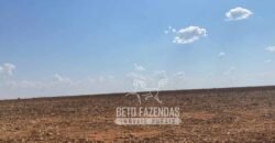Fazenda Produtiva à Venda 12.000 has – Potencial Agrícola | Nova Ubiratã/MT
