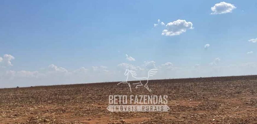 Fazenda Produtiva à Venda 12.000 has – Potencial Agrícola | Nova Ubiratã/MT