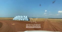 Fazenda Produtiva à Venda 12.000 has – Potencial Agrícola | Nova Ubiratã/MT