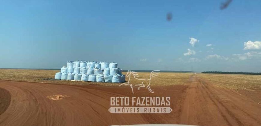 Fazenda Produtiva à Venda 12.000 has – Potencial Agrícola | Nova Ubiratã/MT