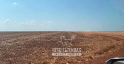 Fazenda Produtiva à Venda 12.000 has – Potencial Agrícola | Nova Ubiratã/MT