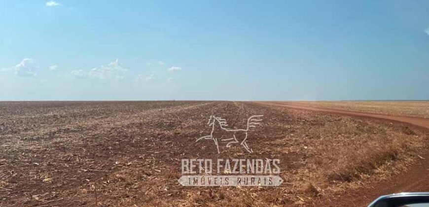 Fazenda Produtiva à Venda 12.000 has – Potencial Agrícola | Nova Ubiratã/MT