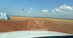 Fazenda Produtiva à Venda 12.000 has – Potencial Agrícola | Nova Ubiratã/MT