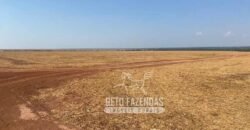 Fazenda Produtiva à Venda 12.000 has – Potencial Agrícola | Nova Ubiratã/MT