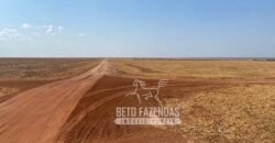 Fazenda Produtiva à Venda 12.000 has – Potencial Agrícola | Nova Ubiratã/MT