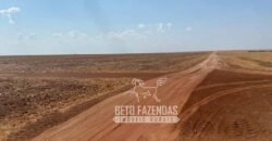Fazenda Produtiva à Venda 12.000 has – Potencial Agrícola | Nova Ubiratã/MT