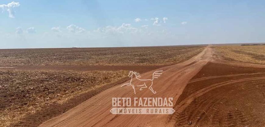 Fazenda Produtiva à Venda 12.000 has – Potencial Agrícola | Nova Ubiratã/MT