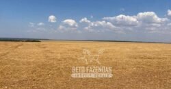 Fazenda Produtiva à Venda 12.000 has – Potencial Agrícola | Nova Ubiratã/MT