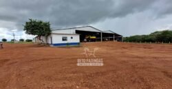 Fazenda Produtiva à Venda 12.000 has – Potencial Agrícola | Nova Ubiratã/MT