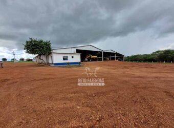 Fazenda Produtiva à Venda 12.000 has – Potencial Agrícola | Nova Ubiratã/MT Fazenda Produtiva à Venda 12.000 has – Potencial Agrícola | Nova Ubiratã/MT