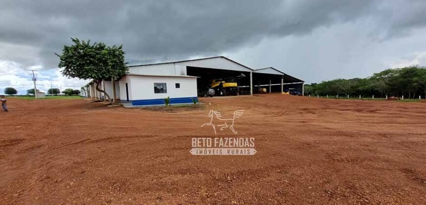 Fazenda Produtiva à Venda 12.000 has – Potencial Agrícola | Nova Ubiratã/MT