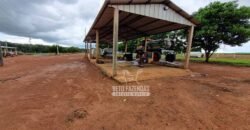 Fazenda Produtiva à Venda 12.000 has – Potencial Agrícola | Nova Ubiratã/MT