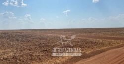 Fazenda Produtiva à Venda 12.000 has – Potencial Agrícola | Nova Ubiratã/MT