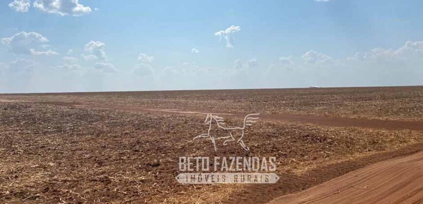 Fazenda Produtiva à Venda 12.000 has – Potencial Agrícola | Nova Ubiratã/MT
