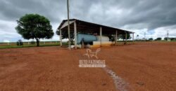 Fazenda Produtiva à Venda 12.000 has – Potencial Agrícola | Nova Ubiratã/MT