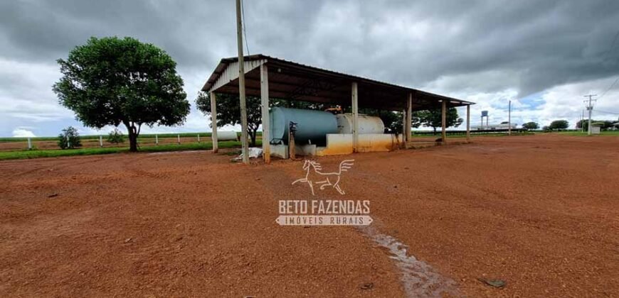 Fazenda Produtiva à Venda 12.000 has – Potencial Agrícola | Nova Ubiratã/MT
