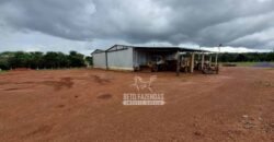Fazenda Produtiva à Venda 12.000 has – Potencial Agrícola | Nova Ubiratã/MT