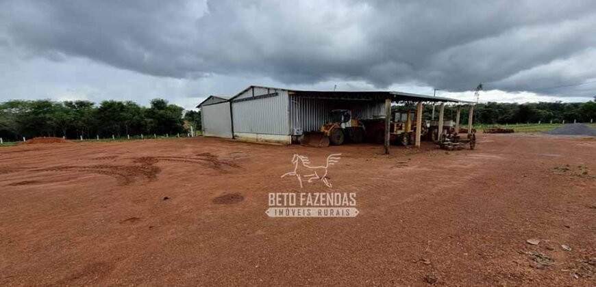 Fazenda Produtiva à Venda 12.000 has – Potencial Agrícola | Nova Ubiratã/MT