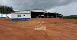 Fazenda Produtiva à Venda 12.000 has – Potencial Agrícola | Nova Ubiratã/MT